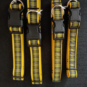 Cornish Tartan on Yellow Webbing